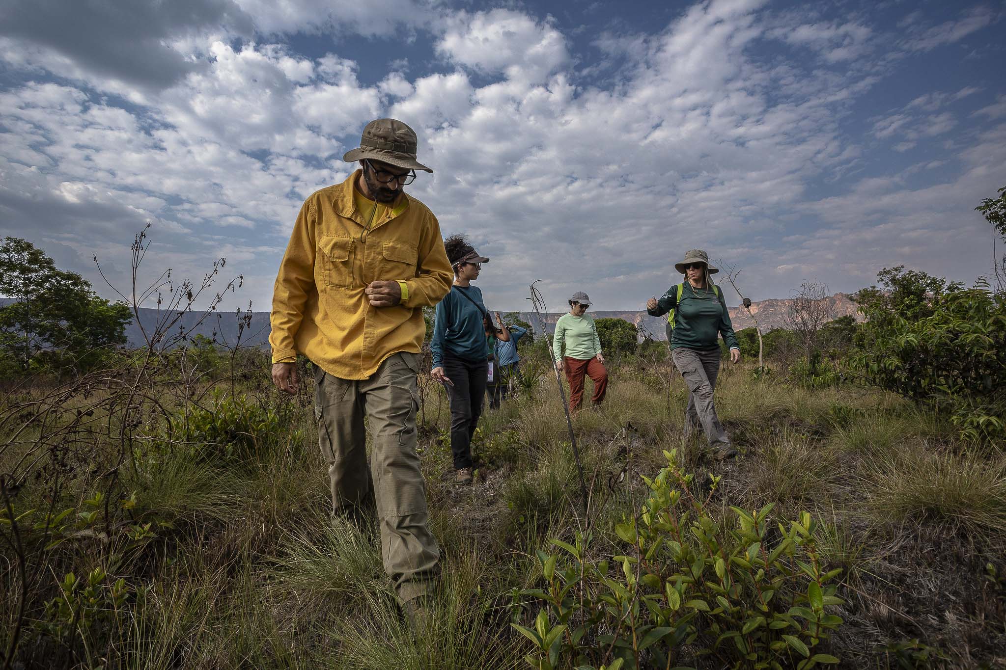 Imagem Expedição Chap Guim - ESEC Serra das Araras--19 da expedição de expedicoes/araras_25